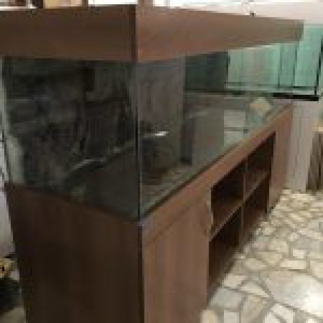 200*60*60h MOBİLYALI AKVARYUM