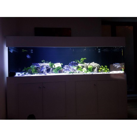 210*80*60H ÇİFT KULE SUMPLU